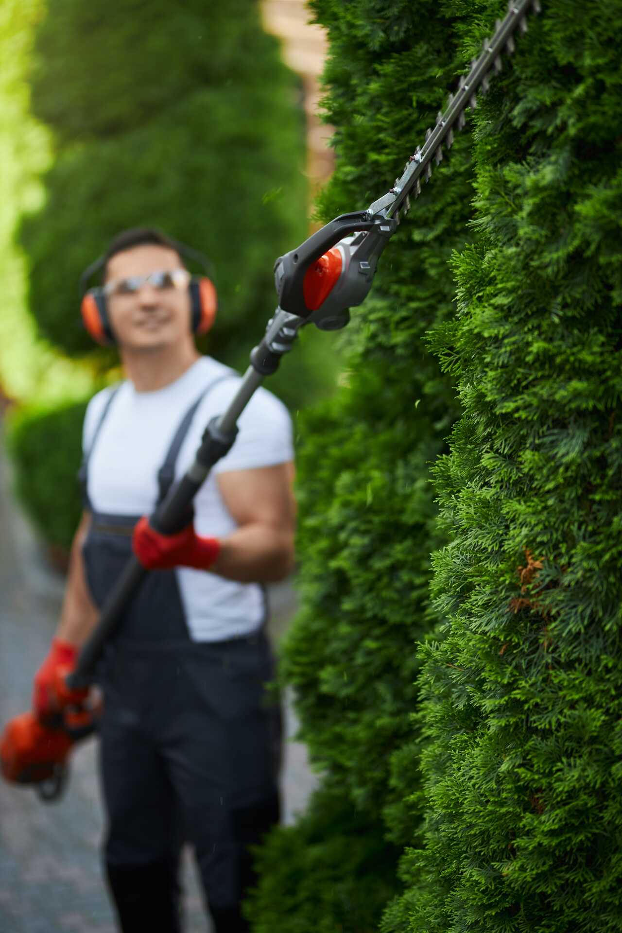 Pielęgnacja terenów zieleni Leszno
