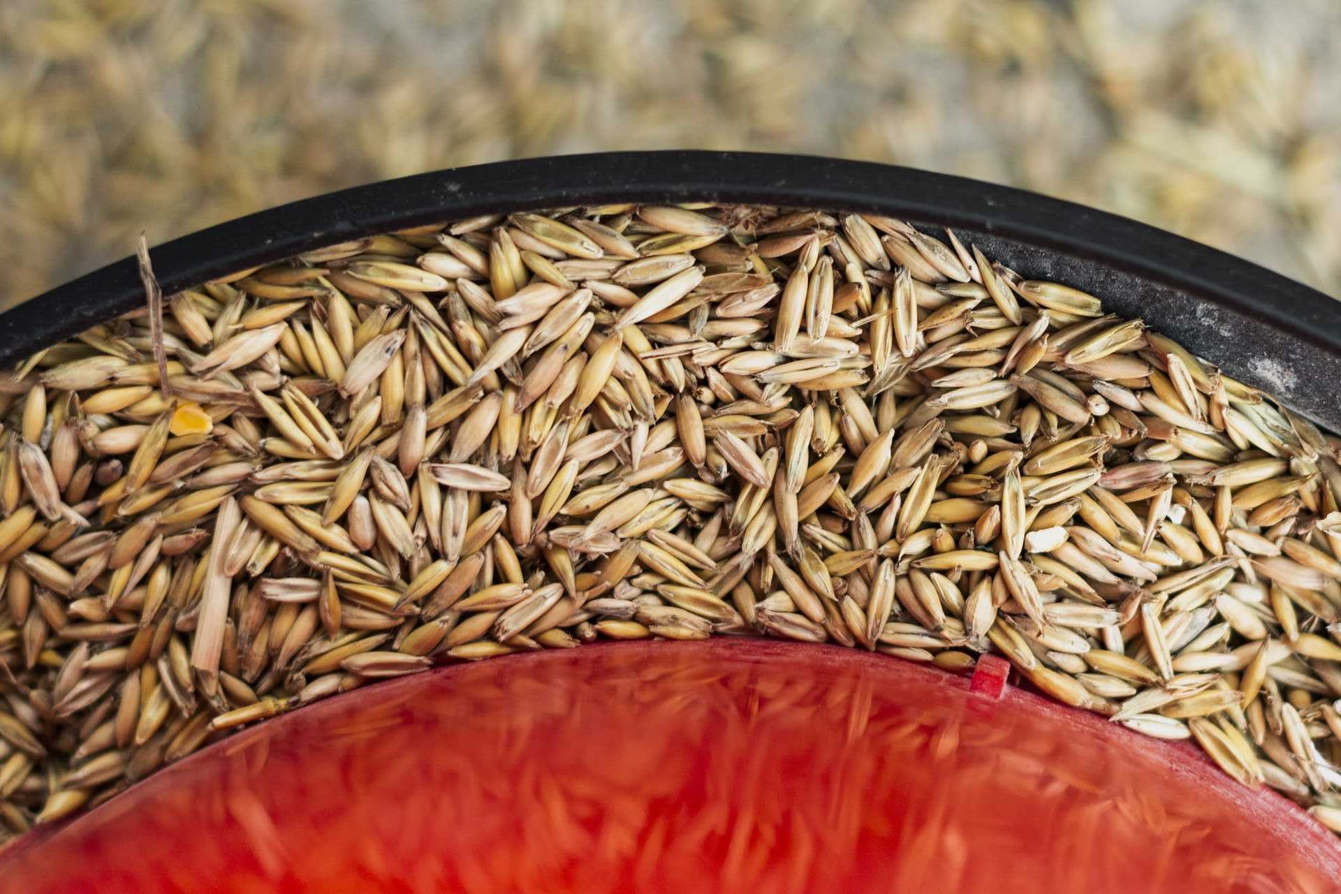 Firma sprzątająca Leszno